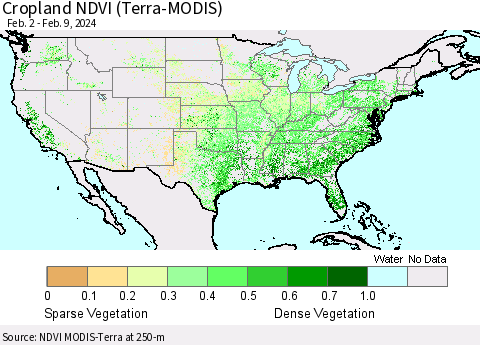United States Cropland NDVI (Terra-MODIS) Thematic Map For 2/2/2024 - 2/9/2024