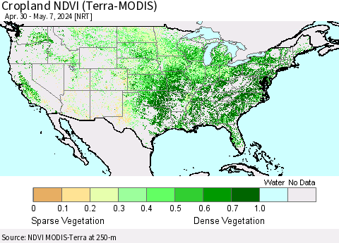 United States Cropland NDVI (Terra-MODIS) Thematic Map For 4/30/2024 - 5/7/2024