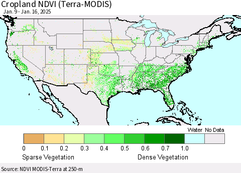 United States Cropland NDVI (Terra-MODIS) Thematic Map For 1/9/2025 - 1/16/2025