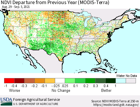 United States NDVI Departure from Previous Year (Terra-MODIS) Thematic Map For 9/1/2021 - 9/10/2021