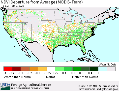 United States NDVI Departure from Average (Terra-MODIS) Thematic Map For 2/1/2020 - 2/10/2020