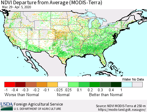 United States NDVI Departure from Average (Terra-MODIS) Thematic Map For 4/1/2020 - 4/10/2020