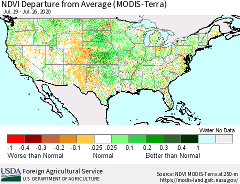 United States NDVI Departure from Average (Terra-MODIS) Thematic Map For 7/21/2020 - 7/31/2020