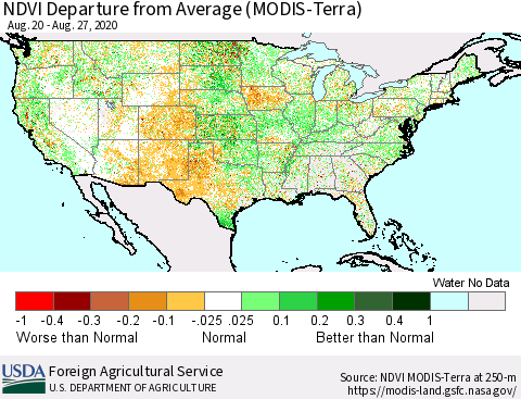 United States NDVI Departure from Average (Terra-MODIS) Thematic Map For 8/21/2020 - 8/31/2020