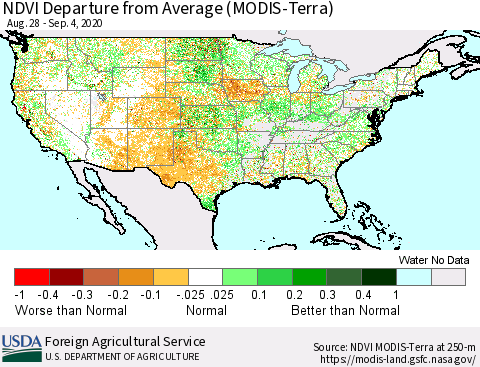 United States NDVI Departure from Average (Terra-MODIS) Thematic Map For 9/1/2020 - 9/10/2020