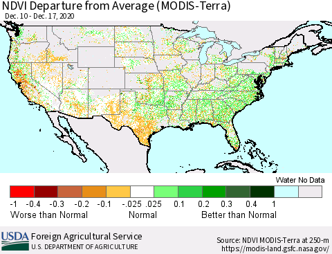 United States NDVI Departure from Average (Terra-MODIS) Thematic Map For 12/11/2020 - 12/20/2020