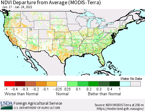 United States NDVI Departure from Average (Terra-MODIS) Thematic Map For 1/21/2021 - 1/31/2021