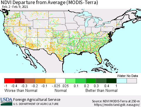 United States NDVI Departure from Average (Terra-MODIS) Thematic Map For 2/1/2021 - 2/10/2021