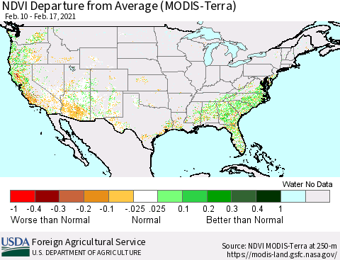 United States NDVI Departure from Average (Terra-MODIS) Thematic Map For 2/11/2021 - 2/20/2021