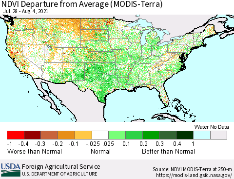 United States NDVI Departure from Average (Terra-MODIS) Thematic Map For 8/1/2021 - 8/10/2021