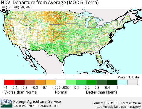 United States NDVI Departure from Average (Terra-MODIS) Thematic Map For 8/21/2021 - 8/31/2021