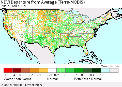 United States NDVI Departure from Average (Terra-MODIS) Thematic Map For 8/29/2021 - 9/5/2021