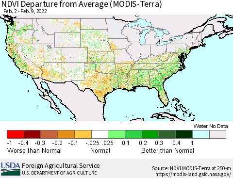 United States NDVI Departure from Average (Terra-MODIS) Thematic Map For 2/1/2022 - 2/10/2022