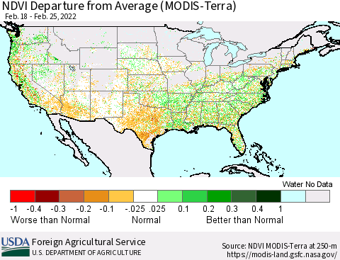 United States NDVI Departure from Average (Terra-MODIS) Thematic Map For 2/21/2022 - 2/28/2022
