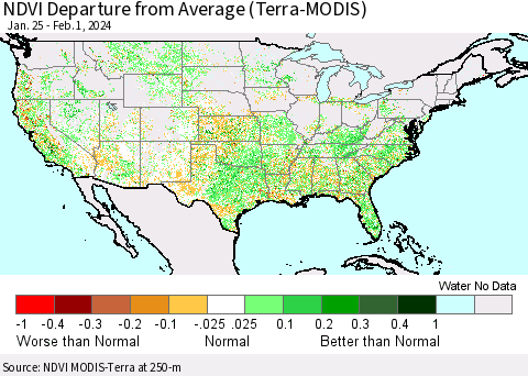 United States NDVI Departure from Average (Terra-MODIS) Thematic Map For 1/25/2024 - 2/1/2024