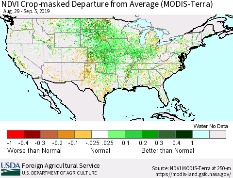 United States Cropland NDVI Departure from Average (Terra-MODIS) Thematic Map For 9/1/2019 - 9/10/2019