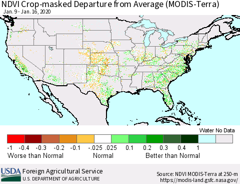United States Cropland NDVI Departure from Average (Terra-MODIS) Thematic Map For 1/11/2020 - 1/20/2020