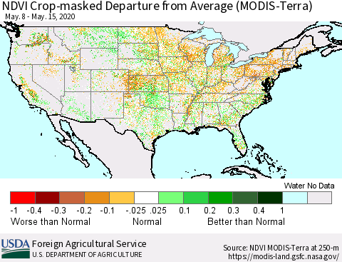 United States Cropland NDVI Departure from Average (Terra-MODIS) Thematic Map For 5/11/2020 - 5/20/2020