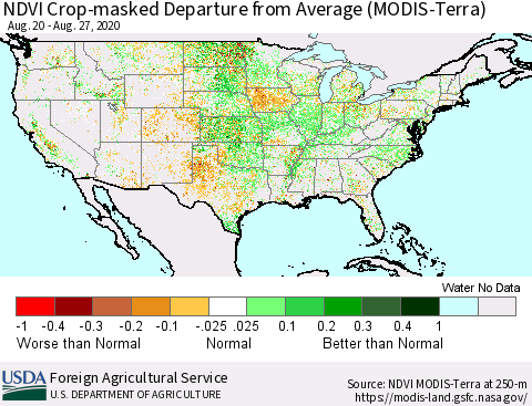 United States Cropland NDVI Departure from Average (Terra-MODIS) Thematic Map For 8/21/2020 - 8/31/2020