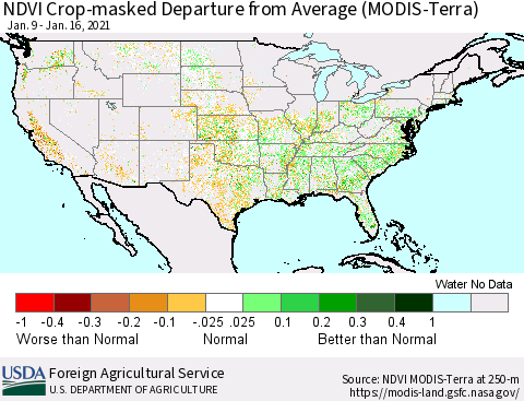 United States Cropland NDVI Departure from Average (Terra-MODIS) Thematic Map For 1/11/2021 - 1/20/2021