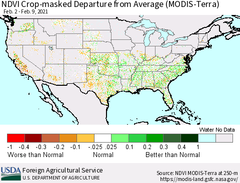 United States Cropland NDVI Departure from Average (Terra-MODIS) Thematic Map For 2/1/2021 - 2/10/2021