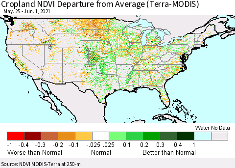 United States Cropland NDVI Departure from Average (Terra-MODIS) Thematic Map For 5/25/2021 - 6/1/2021