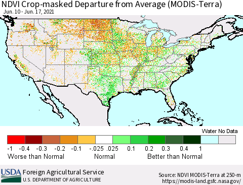 United States Cropland NDVI Departure from Average (Terra-MODIS) Thematic Map For 6/11/2021 - 6/20/2021