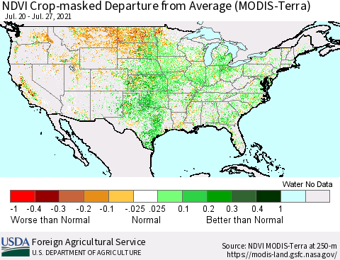 United States Cropland NDVI Departure from Average (Terra-MODIS) Thematic Map For 7/21/2021 - 7/31/2021
