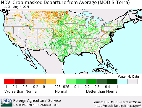 United States Cropland NDVI Departure from Average (Terra-MODIS) Thematic Map For 8/1/2021 - 8/10/2021