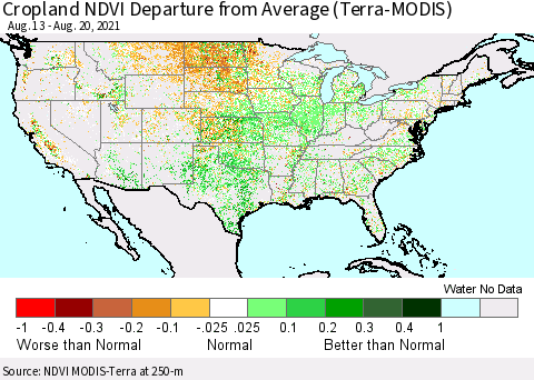 United States Cropland NDVI Departure from Average (Terra-MODIS) Thematic Map For 8/11/2021 - 8/20/2021