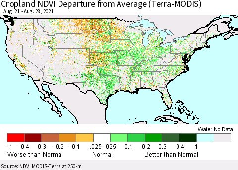 United States Cropland NDVI Departure from Average (Terra-MODIS) Thematic Map For 8/21/2021 - 8/28/2021
