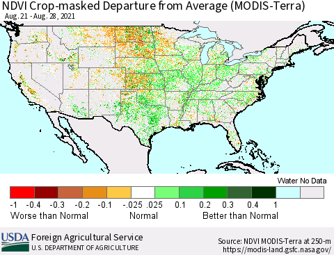 United States Cropland NDVI Departure from Average (Terra-MODIS) Thematic Map For 8/21/2021 - 8/31/2021