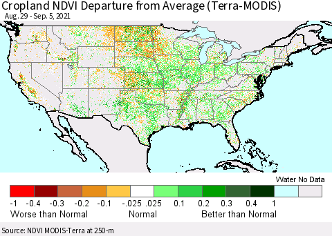 United States Cropland NDVI Departure from Average (Terra-MODIS) Thematic Map For 8/29/2021 - 9/5/2021