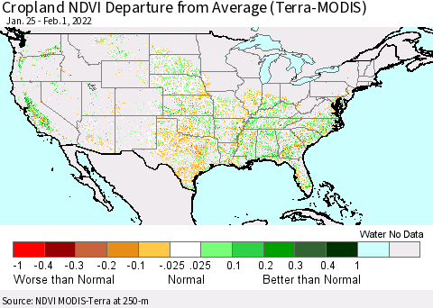 United States Cropland NDVI Departure from Average (Terra-MODIS) Thematic Map For 1/25/2022 - 2/1/2022