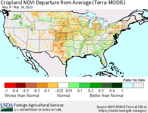 United States Cropland NDVI Departure from Average (Terra-MODIS) Thematic Map For 5/11/2022 - 5/20/2022