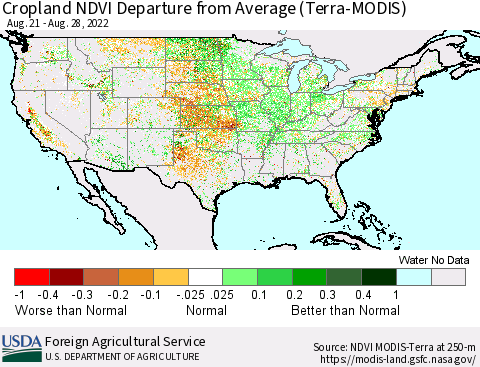 United States Cropland NDVI Departure from Average (Terra-MODIS) Thematic Map For 8/21/2022 - 8/31/2022