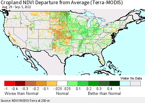 United States Cropland NDVI Departure from Average (Terra-MODIS) Thematic Map For 8/29/2022 - 9/5/2022
