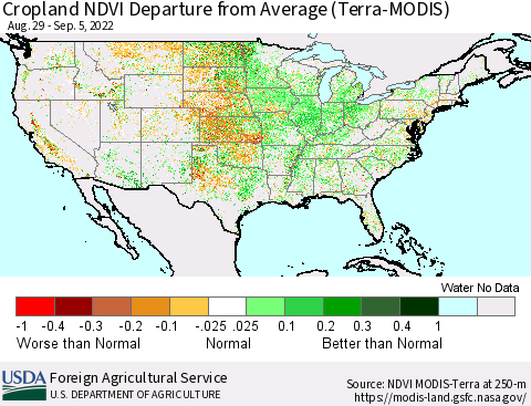 United States Cropland NDVI Departure from Average (Terra-MODIS) Thematic Map For 9/1/2022 - 9/10/2022