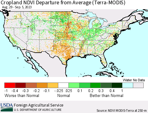United States Cropland NDVI Departure from Average (Terra-MODIS) Thematic Map For 9/1/2023 - 9/10/2023