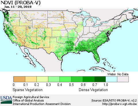 United States NDVI (PROBA-V) Thematic Map For 1/11/2018 - 1/20/2018