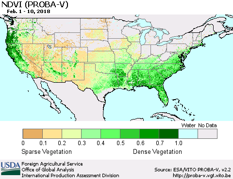 United States NDVI (PROBA-V) Thematic Map For 2/1/2018 - 2/10/2018
