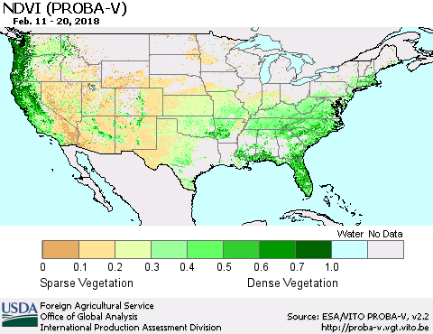 United States NDVI (PROBA-V) Thematic Map For 2/11/2018 - 2/20/2018