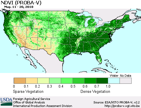 United States NDVI (PROBA-V) Thematic Map For 5/11/2018 - 5/20/2018