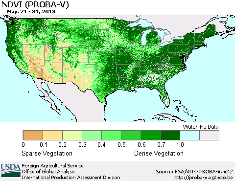 United States NDVI (PROBA-V) Thematic Map For 5/21/2018 - 5/31/2018
