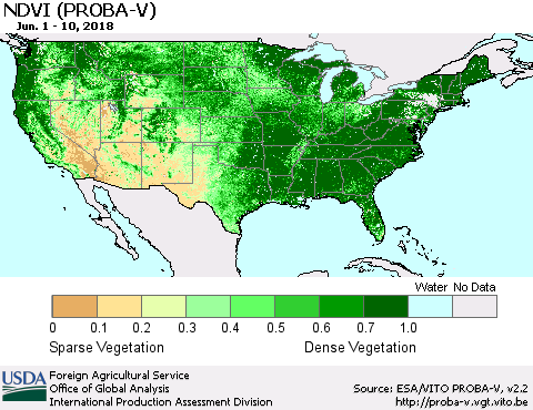 United States NDVI (PROBA-V) Thematic Map For 6/1/2018 - 6/10/2018
