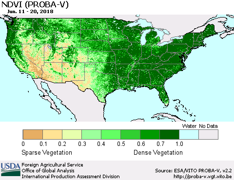 United States NDVI (PROBA-V) Thematic Map For 6/11/2018 - 6/20/2018