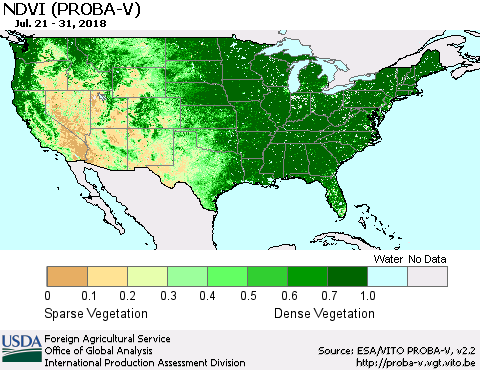 United States NDVI (PROBA-V) Thematic Map For 7/21/2018 - 7/31/2018