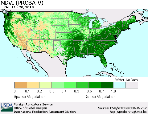 United States NDVI (PROBA-V) Thematic Map For 10/11/2018 - 10/20/2018