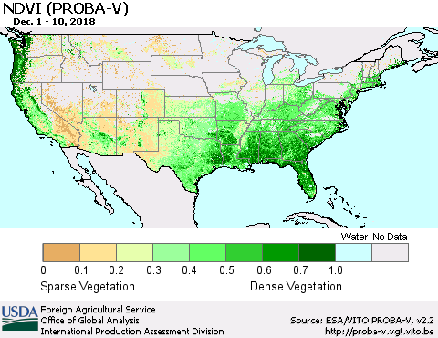 United States NDVI (PROBA-V) Thematic Map For 12/1/2018 - 12/10/2018