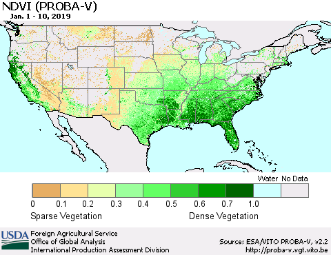 United States NDVI (PROBA-V) Thematic Map For 1/1/2019 - 1/10/2019